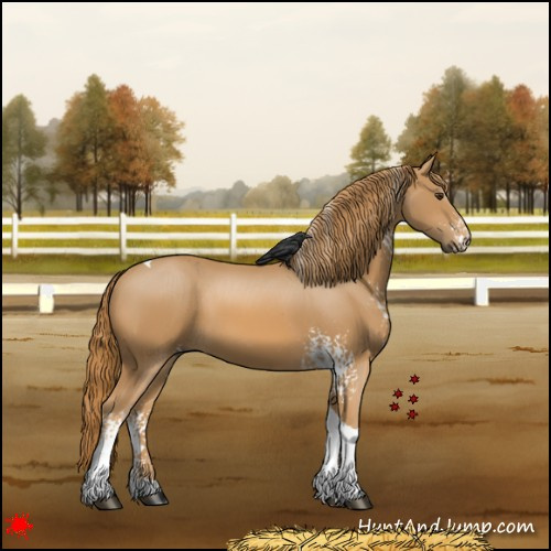 Horse Color:White Spotted Chestnut Tobiano 