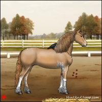 Horse Color:White Spotted Chestnut Tobiano