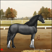Horse Color:Blue Roan 