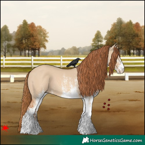 Horse Color:White Spotted Red Dun 