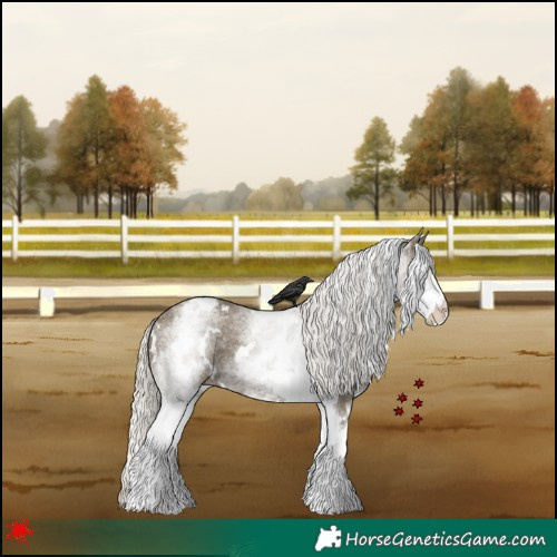 Horse Color:White Spotted Silver Smoky Black 