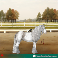 Horse Color:White Spotted Silver Smoky Black 