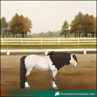 Horse Color:Bay Roan Dun 