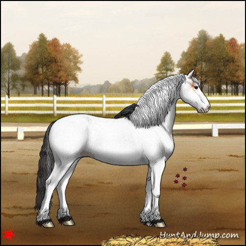 Horse Color:White Spotted Bay