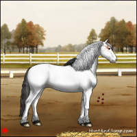Horse Color:White Spotted Bay 
