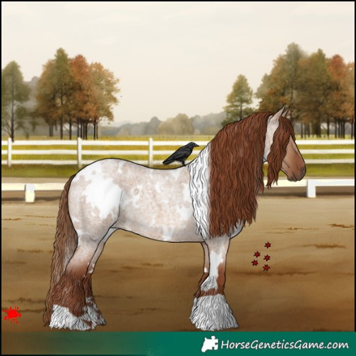 Horse Color:White Spotted Red Dun Roan 
