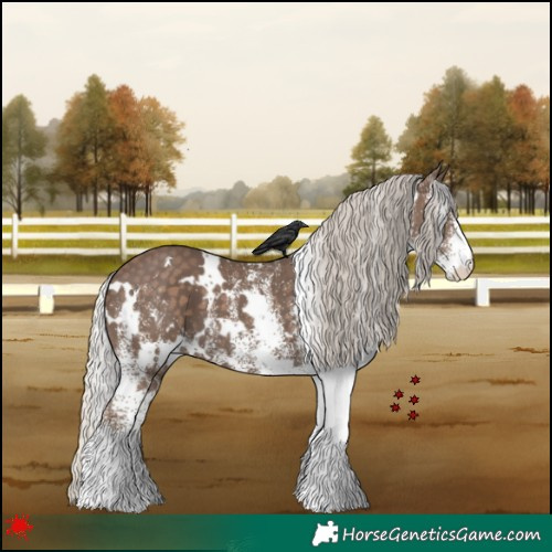 Horse Color:White Spotted Silver Black 