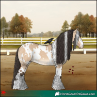 Horse Color:White Spotted Bay Dun