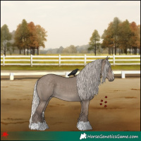 Horse Color:Silver Grullo