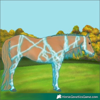 Horse Color:Thunderstruck Chestnut 