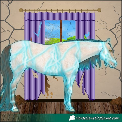 Horse Color:Thunderstruck Amber Champagne Roan 