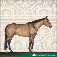 Horse Color:Bay Dun Brindle 