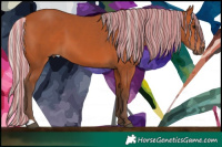 Horse Color:Painted Silver Bay 