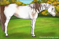 Horse Color:White Spotted Red Onyx Varnish Rabicano 