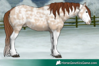 Horse Color:Red Dun Ice Splash Brindle