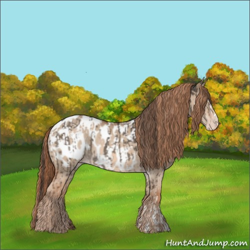 Horse Color:Liver Red Dun Appaloosa and Red Dun Appaloosa