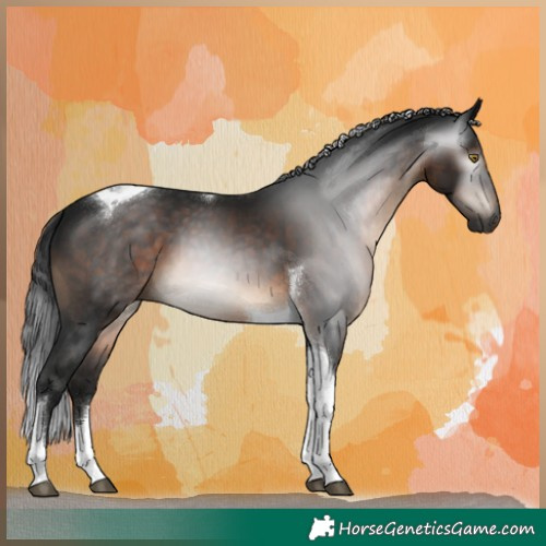 Horse Color:Gray Brown Tobiano