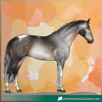 Horse Color:Gray Brown Tobiano 