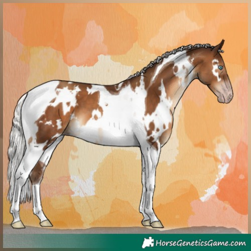 Horse Color:Gray White Spotted Silver Sable Champagne Tobiano 