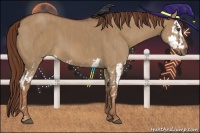 Horse Color:Red Dun Splash Brindle