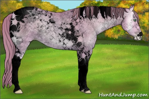 Horse Color:Void Watercolor Buckskin Roan Pearl Onyx Tobiano 
