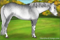 Horse Color:Silver Blue Onyx Chinchilla 