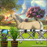 Horse Color:Silver Buckskin Roan Splash 