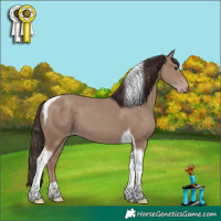 Horse Color:Classic Champagne Tobiano