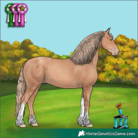 Horse Color:Gold Champagne Tobiano