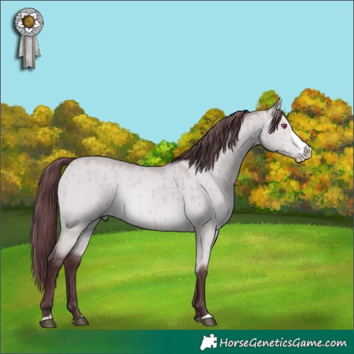 Horse Color:Chocolate Bay Chinchilla Dun Splash Brindle 