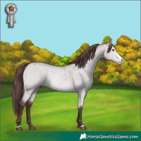 Horse Color:Chocolate Bay Chinchilla Dun Splash Brindle 