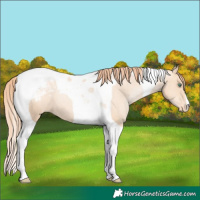 Horse Color:Classic Champagne Pearl Tobiano Varnish 