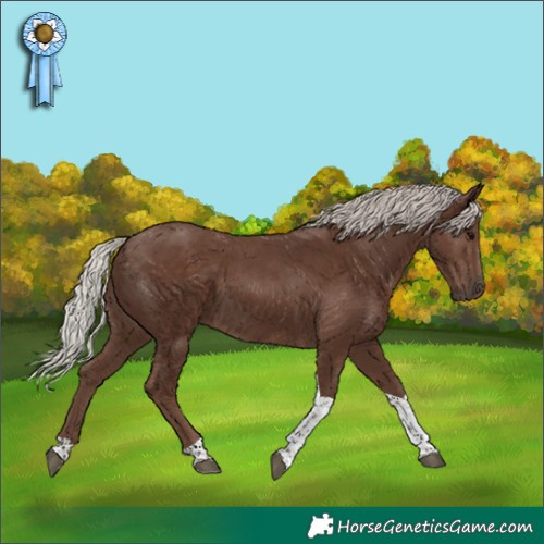 Horse Color:Silver Black Tobiano 