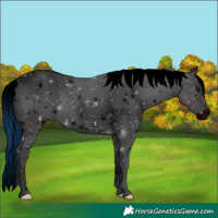 Horse Color:ERROR: UNKNOWN ANOMALY