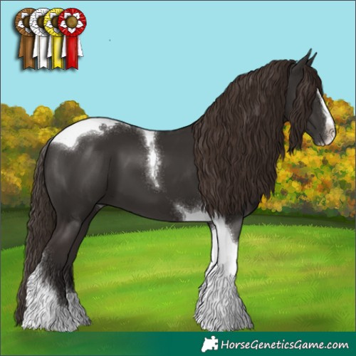 Horse Color:Liver Chestnut Sabino Tobiano