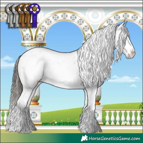 Horse Color:Liver Chestnut Sabino