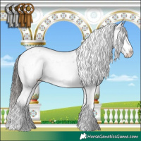 Horse Color:Liver Chestnut Sabino 