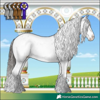Horse Color:Liver Chestnut Sabino