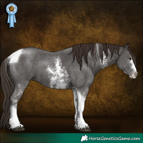 Horse Color:Liver Chestnut Sabino Tobiano 