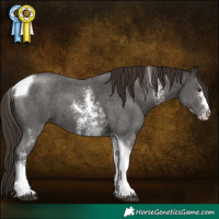 Horse Color:Liver Chestnut Sabino Tobiano 
