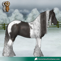 Horse Color:Liver Chestnut Tobiano 