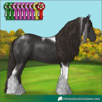 Horse Color:Liver Chestnut Tobiano 
