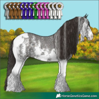 Horse Color:Liver Chestnut Sabino Tobiano 