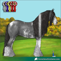 Horse Color:Liver Chestnut Sabino Tobiano