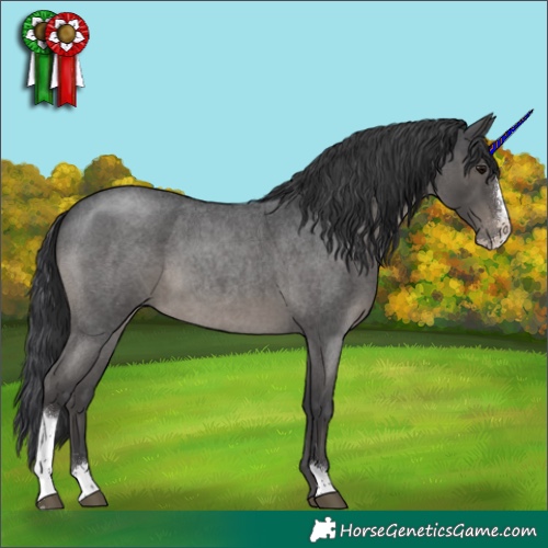 Horse Color:Blue Roan Sabino