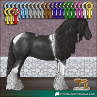 Horse Color:Liver Chestnut Tobiano 