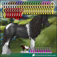 Horse Color:Liver Chestnut Tobiano