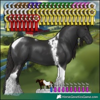 Horse Color:Liver Chestnut Tobiano 