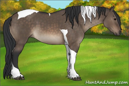 Horse Color:Brown Dun Tobiano 