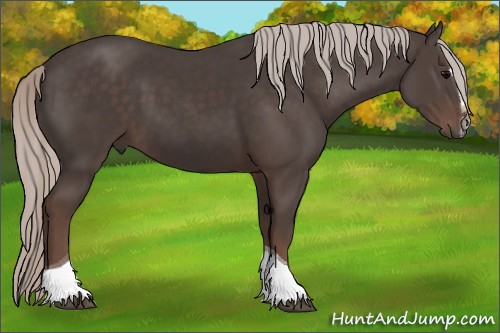 Horse Color:Silver Black Sabino Tobiano 